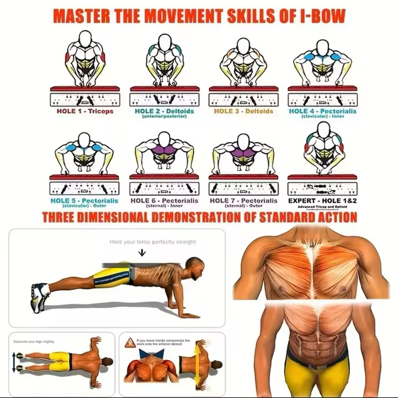 Portable push up board